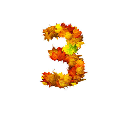Colorful autumn leaves isolated on white background as number three. Number three.