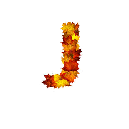 Colorful autumn leaves isolated on white background as letter J. Letter J.の写真素材