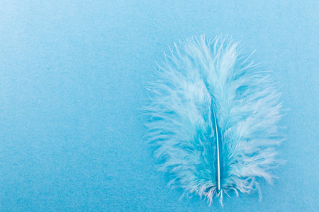 Blue feather on blue paper background. Macro shot. Close-up.の写真素材