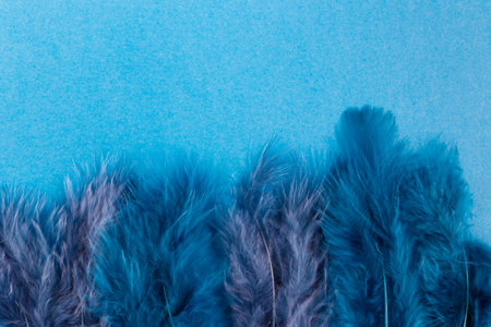 Blue feathers on blue paper background. Macro shot. Close-up.の写真素材