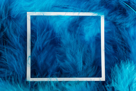 Background from feathers and white paper frame. Flat lay. Close-up.の写真素材
