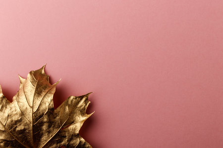 Golden Maple leaf. Golden leaf on pink background. Minimal autumn concept with copy space.の写真素材