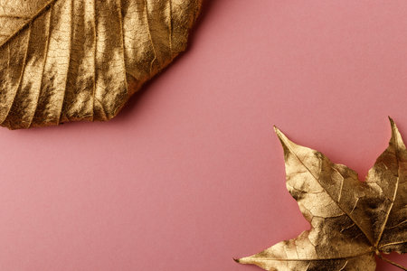 Golden Hazelnut and Maple leaves. Golden leaves on pink background. Minimal autumn concept with copy space.の写真素材