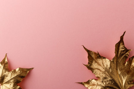Golden Maple leaves. Golden leaves on pink background. Minimal autumn concept with copy space.の写真素材
