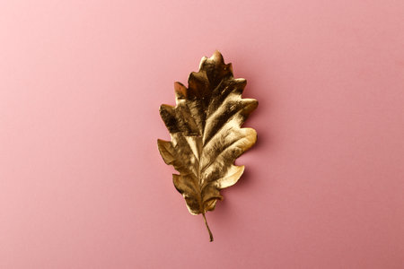 Golden Oak leaf. Golden leaf on pink background. Minimal autumn concept with copy space.の写真素材