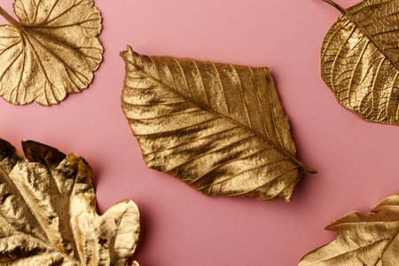 Golden Oak, Hazelnut, Geranium and Poinsettia leaves. Golden leaves on pink background. Minimal autumn concept with copy space. Border arrangement background.の写真素材