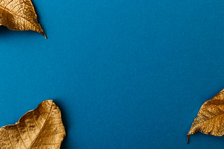 Golden leaves on blue background. Creative layout made of golden leaves with blue paper card note. Minimal floral concept with copy space.の写真素材