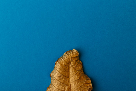 Golden leaf with blue paper card note. Golden leaf on blue background. Minimal floral concept with copy space.の写真素材