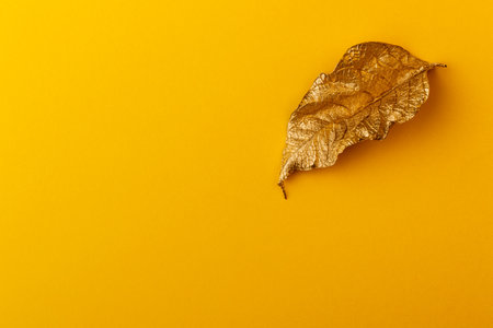 Golden leaf with yellow paper card note. Golden leaf on yellow background. Minimal floral concept...