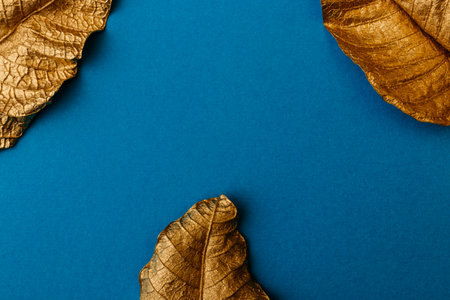 Golden leaves on blue background. Creative layout made of golden leaves with blue paper card note. Minimal floral concept with copy space.の写真素材