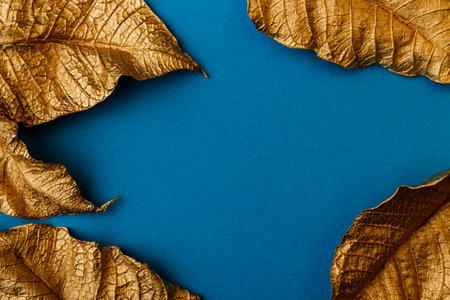 Golden leaves on blue background. Creative layout made of golden leaves with blue paper card note. Minimal floral concept with copy space.の写真素材