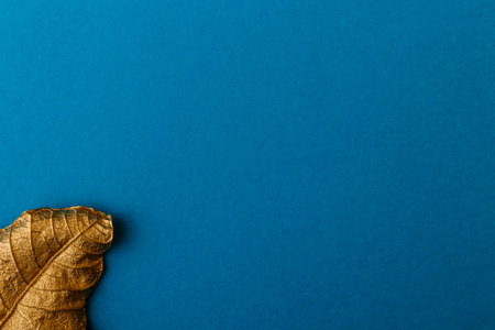 Golden leaf with blue paper card note. Golden leaf on blue background. Minimal floral concept with...