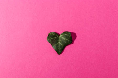 Leaf in shape of a heart on pink background. Symbol of love for Happy Women's, Mother's, Valentine's...