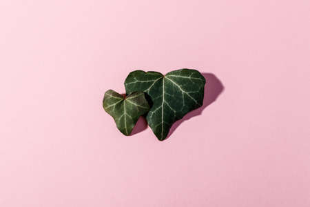Leaves in shape of a heart on pink background. Symbol of love for Happy Women's, Mother's,...