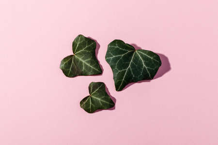 Leaves in shape of a heart on pink background. Symbol of love for Happy Women's, Mother's,...