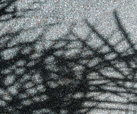 Shadow of palm leaves on floor background. Silhouettes and shadows of plants.の写真素材
