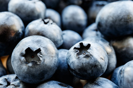 Bilberry. Fresh Bilberries from the market. Fresh blueberry background. Macro shot.の写真素材