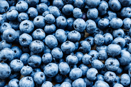 Bilberry. Fresh Bilberries from the market. Fresh blueberry background. Macro shot.の写真素材