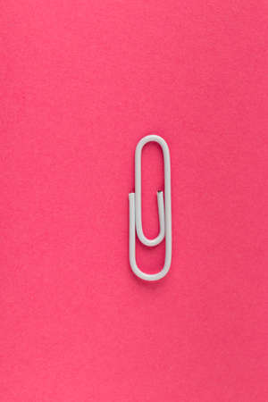 Colored paper clip. White paper clip macro close up isolated on a pink background with copy space.の写真素材