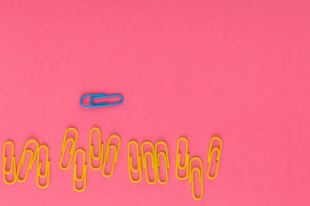 Colored paper clips. Blue and yellow paper clips macro close up isolated on a pink background with...