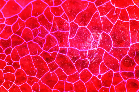 Red Dragon Vein Agate Patternの写真素材