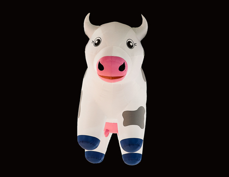 Cow swim tube isolated on black background.Inflatable unicorn.Fantasy Swim Ring for Summer Pool Trip.の写真素材