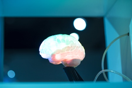 MODEL OF colorful HUMAN BRAIN on blur backgroundの写真素材