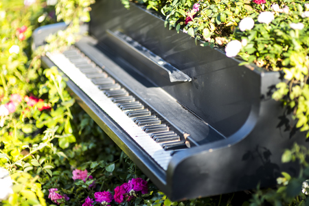 Piano in green garden with notes and pink flowersの写真素材