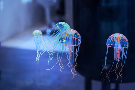holographic jellyfishj soaring in the air.の写真素材