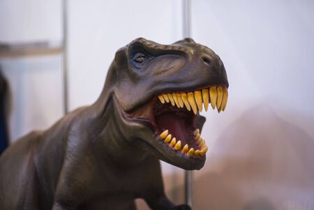 Plastic Mannequin carnivorous dinosaur Tyrannosaurus head with teethの写真素材