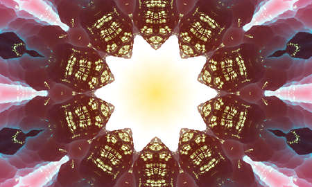 Abstract Colorful Flowers Flora Concept Symmetric Pattern Ornamental Decorative Kaleidoscope...