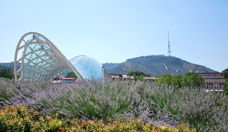 The bridge over the river, the mountains, the tower on the hill and blooming flowers.の写真素材