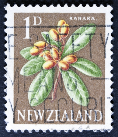 NEW ZEALAND - CIRCA 1960  A stamp printed in New Zealand, shows Kowhai tree flowers, circa 1960  の写真素材