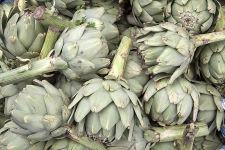 Artichokes の写真素材