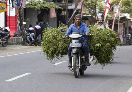 KALIBARU, JAVA, INDONESIA - AUGUST 19, 2018: Indonesian farmer transports just harvested sugar from the country with his scooterのeditorial素材