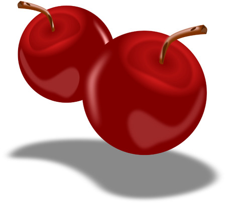 Two red cherries with stem still attached.のイラスト素材