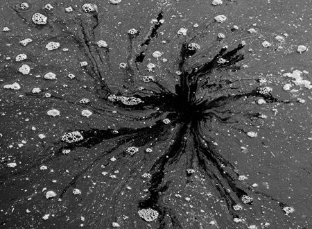 Dirty pool of waterの写真素材