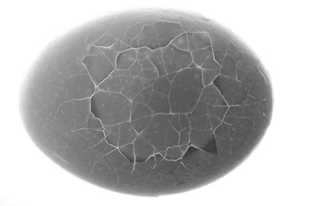Cracking egg with a white backgroundの写真素材