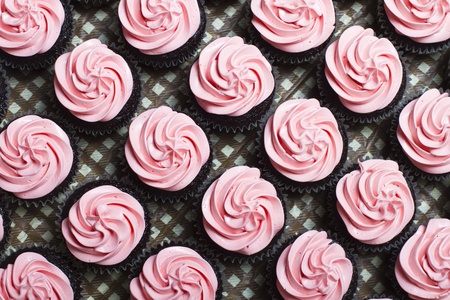 Chocolate cupcakes with pink icingの写真素材