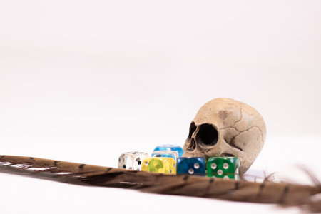 Color dice with symbols for fantasy games with a skull and feather as decorationの写真素材