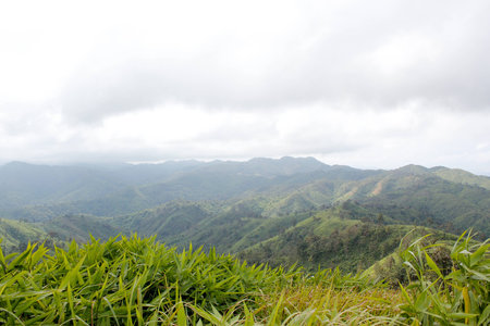 Green Mountainの写真素材