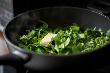 spinachの写真素材