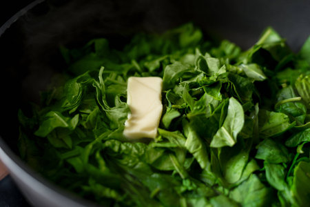 spinachの写真素材