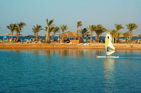 Sand beach with azure sea and palms in Egyptの写真素材