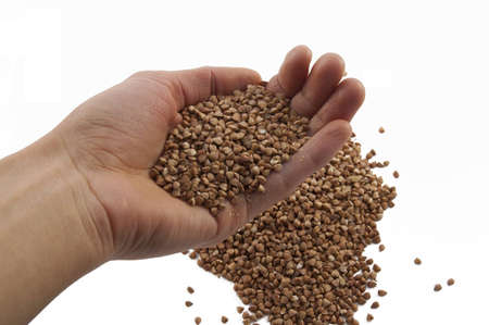 Human hand holding buckwheat and buckwheat heap under it