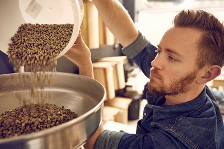 Owner of a coffee bean roastery, pouring a new batch of raw coffee beans from a plastic container into the metal part of a modern roasting machineの写真素材