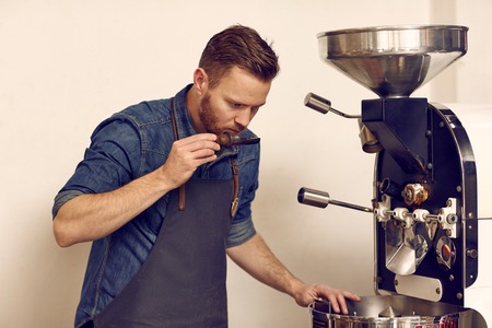 Serious coffee bean connoiseur alongside a modern roasting machine, holding a scoop with freshly...