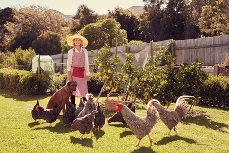 Full length portrait of a senior woman standing happily in her backyard, with her dog sitting beside her and a group of healthy free range chickens on the grass in front of her