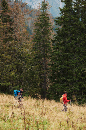 Two hikers out trekking in the forestの写真素材