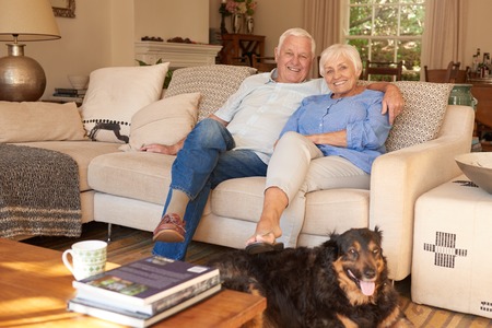 Happy senior couple relaxing at home with their dogの写真素材